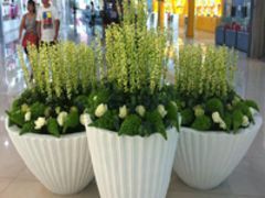 廣西規(guī)模大的廣西玻璃鋼花盆生產(chǎn)基地,南寧花盆批發(fā)圖片|廣西規(guī)模大的廣西玻璃鋼花盆生產(chǎn)基地,南寧花盆批發(fā)產(chǎn)品圖片由南寧市惜譽(yù)玻璃鋼制品公司生產(chǎn)提供-